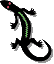 lizard.gif (655 bytes)